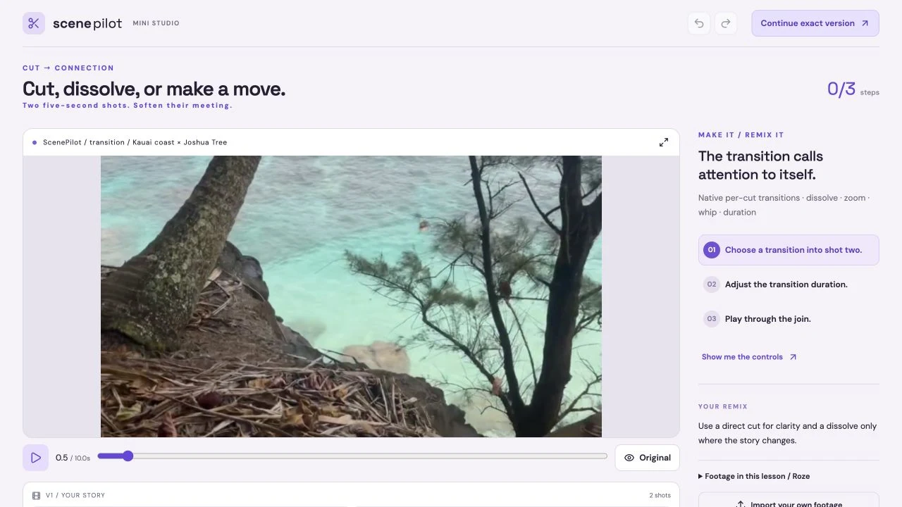 Actual ScenePilot Transitions workshop editing actual Sophie Sky / Roze footage